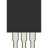 Primary Regulator